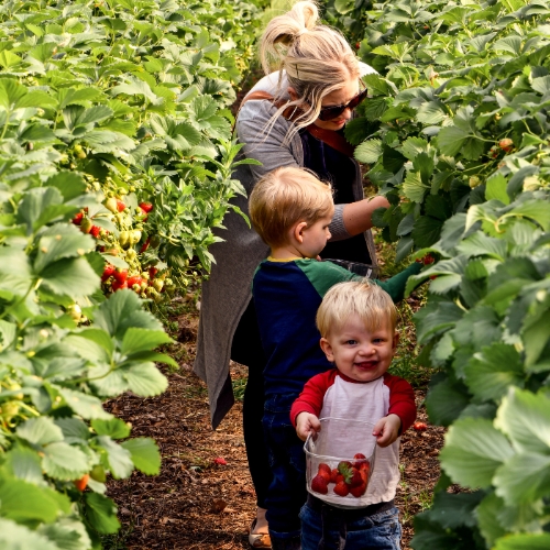 30+ Fantastic Things To Do In Spring (Activities For Kids Included)